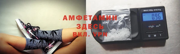 стафф Аркадак